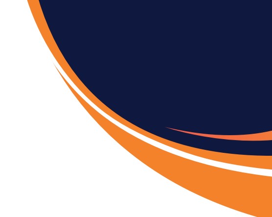 CAMISA - SINEPE 2025